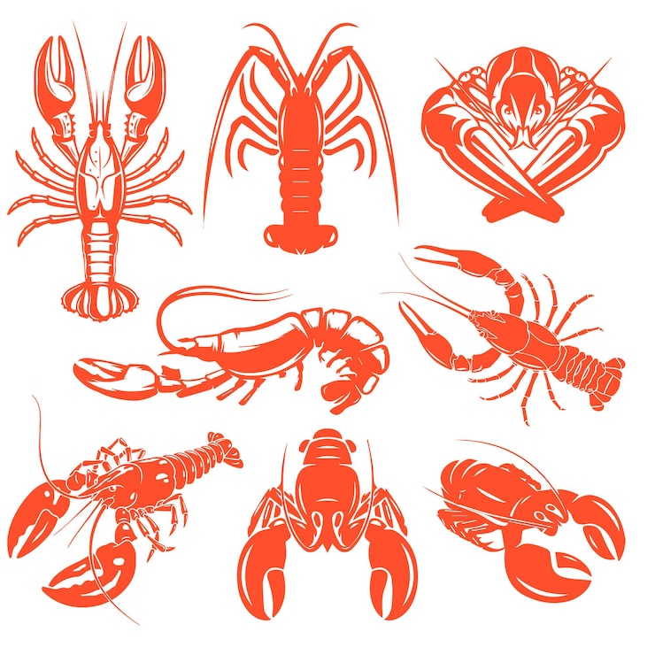 Vector lobsters and lobsters are displayed on a white background
