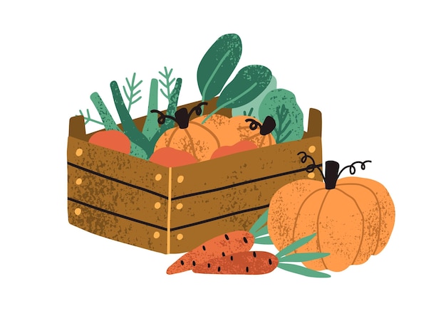 Vector local organic harvested crops in a wooden box. autumn vegetables like pumpkin and carrots. harvest gathering time. agricultural concept. textured flat vector illustration isolated on white background.