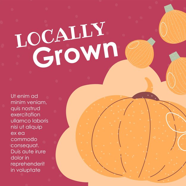 Locally grown products organic natural pumpkins