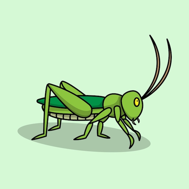 Vector locust the illustration