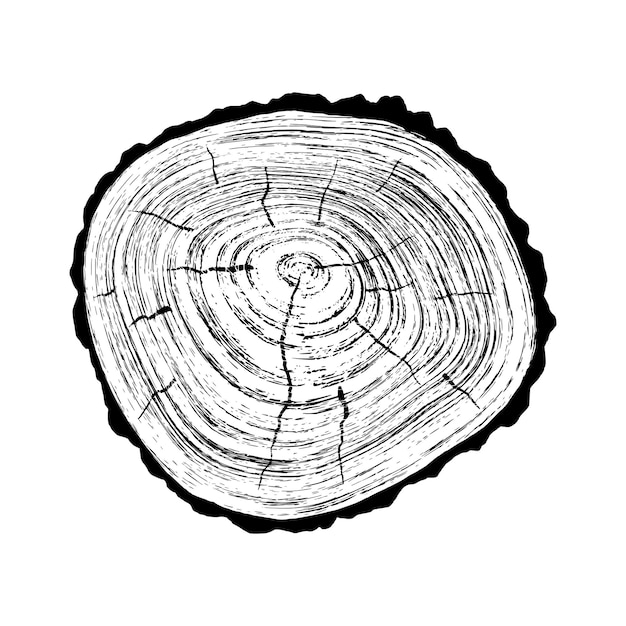 Vector log cut vector illustration tree rings pattern gray