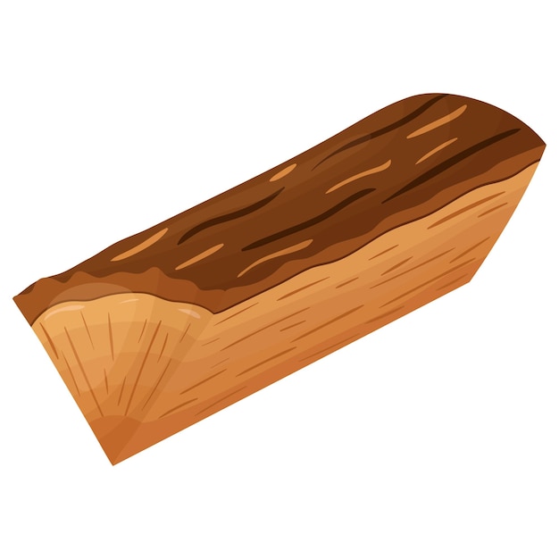 Vector a log a wooden material a log in a section