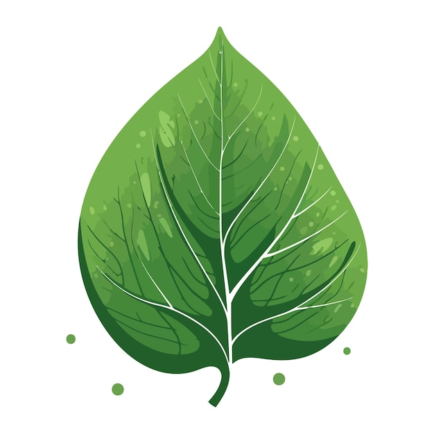 Logo-afbeelding bladontwerp van blad ecologie-concept vectorillustratie