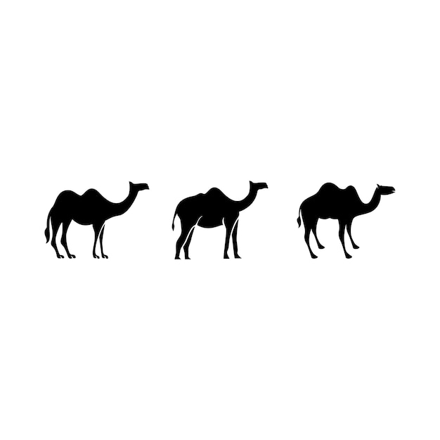 Vector logo camel head symbol, camel logo.