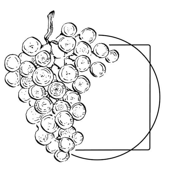 Эмблема логотипа винограда