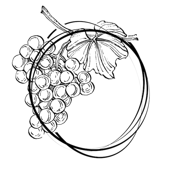Vettore logo emblema dell'uva