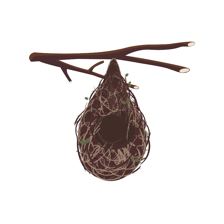 Vector logo illustration of a bird's nest hanging on a branch
