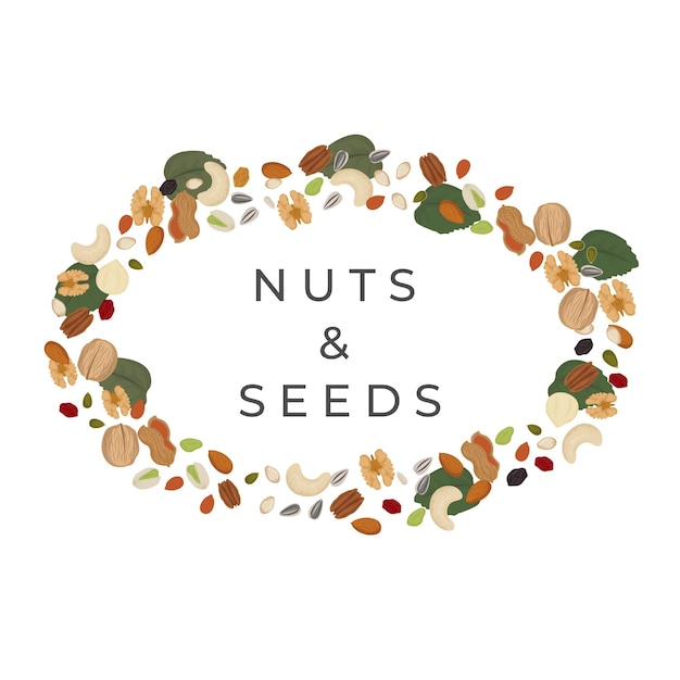 Vector logo illustration of dried nuts and seeds oval background