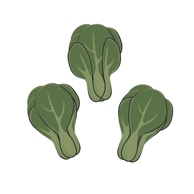 Logo Illustration of Green Bok choy cartoon