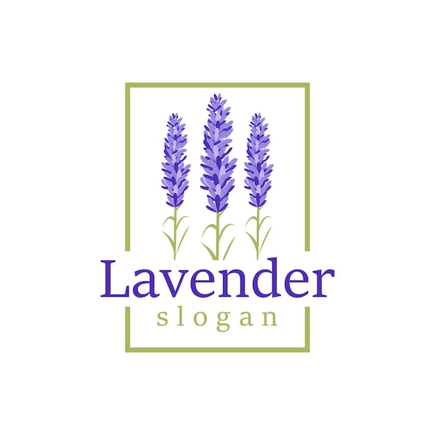 Logo Lavendel Elegant Paarse Bloem Plant Illustratie Bloemen Ornament Ontwerp