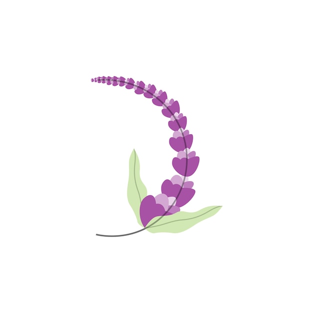 Logo Lavendel Paarse Plant Vector Tuinontwerp Illustratie Symbool Template