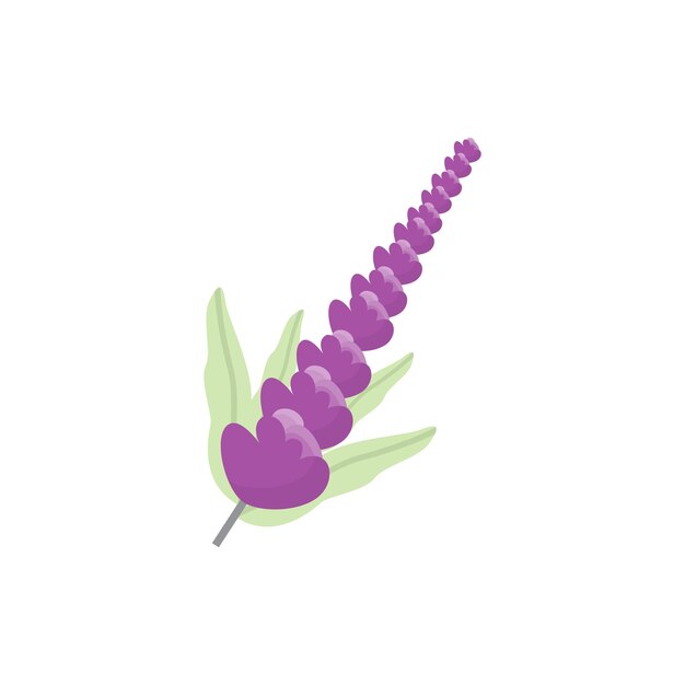 Logo Lavendel Paarse Plant Vector Tuinontwerp Illustratie Symbool Template