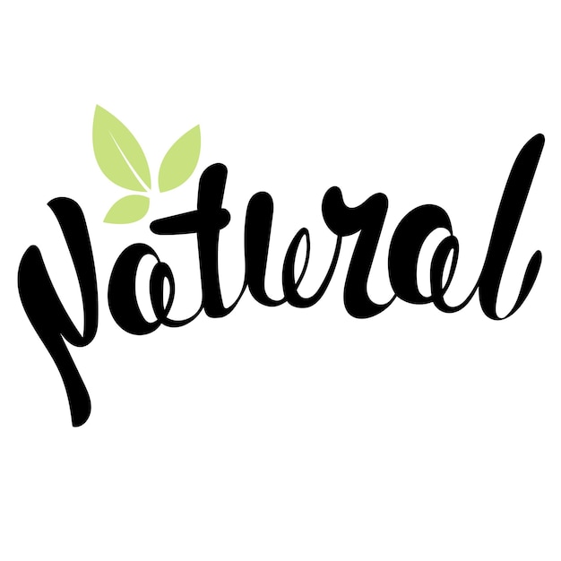 Logo Natural met bladeren natuurproduct biologisch gezond voedsel Biologisch voedsel badge in vector cosmetische voedsel Belettering Natural