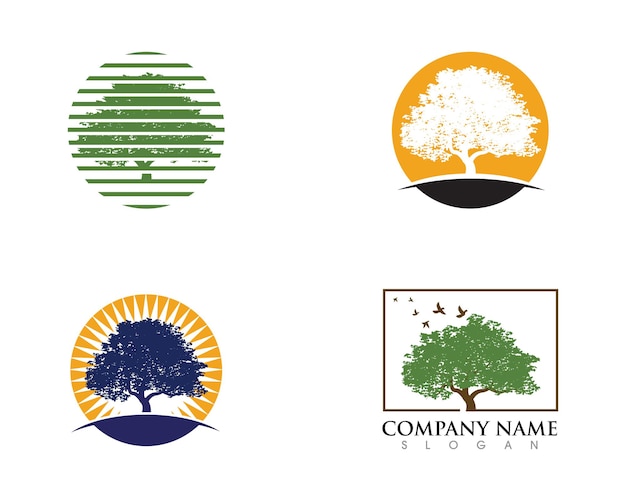 Logo's van groene boom blad ecologie natuur element vector icon