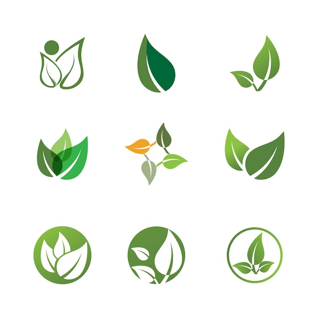 Logo's van groene boom blad ecologie natuur element vector