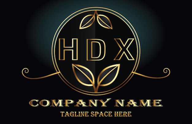 Logo van de letter HDX
