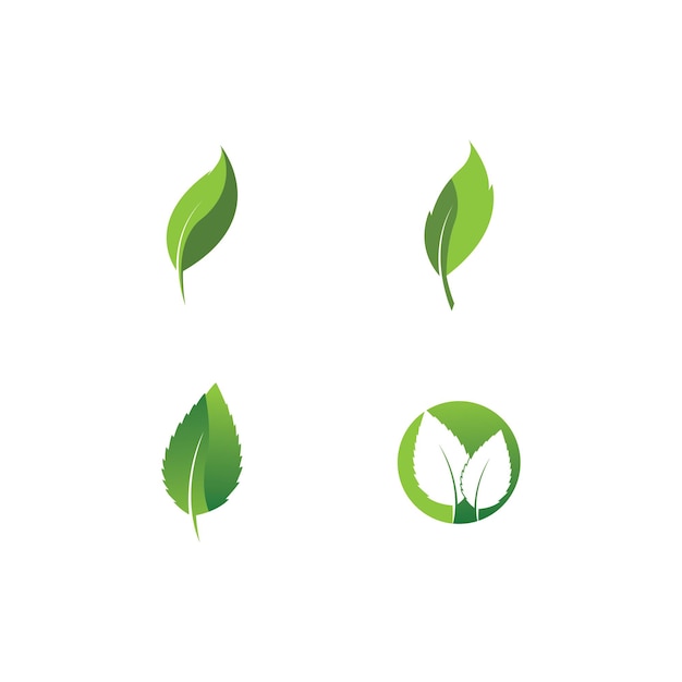 Logos of green leaf ecology nature element vector icon