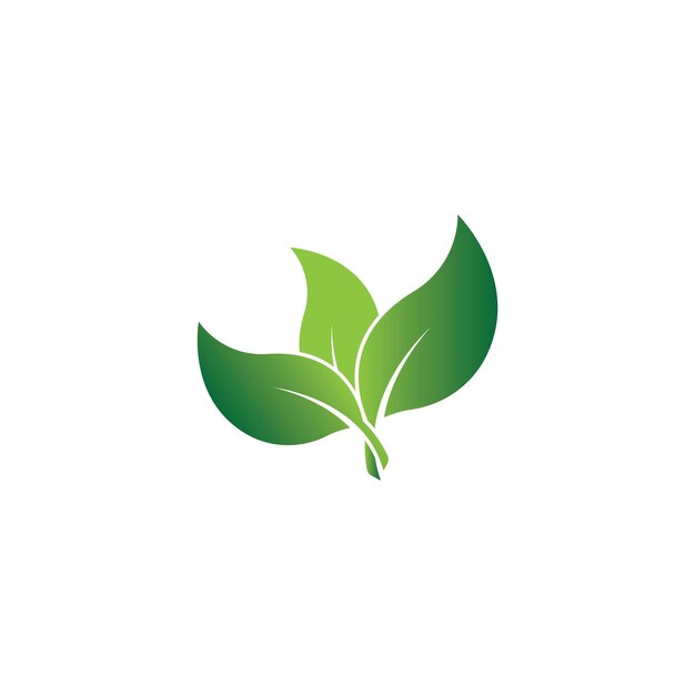 緑の葉エコロジー自然の要素ベクトルアイコンのロゴ