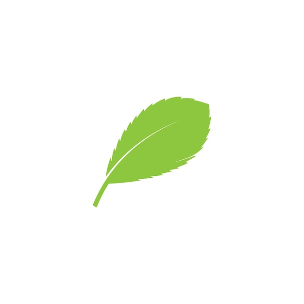 녹색 잎 생태 자연 요소 벡터 아이콘의 로고