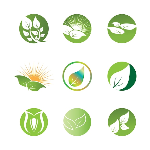 Logos of green tree leaf ecology nature element vector