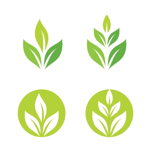 Logos of green Tree leaf ecology nature element vector