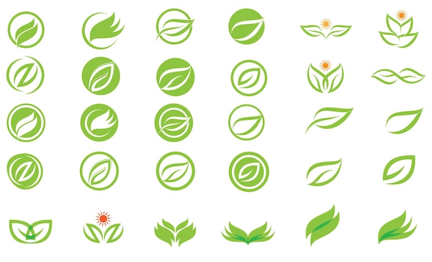 Logos of green Tree leaf ecology nature element vector