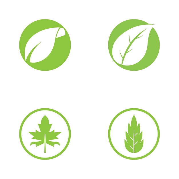 녹색 나무 잎 생태 자연 요소 벡터의 로고