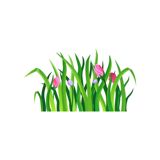 春の花が咲く長い緑の草自然とガーデニングのテーマ装飾的なハーブの境界線カラフルなベクトルのデザイン