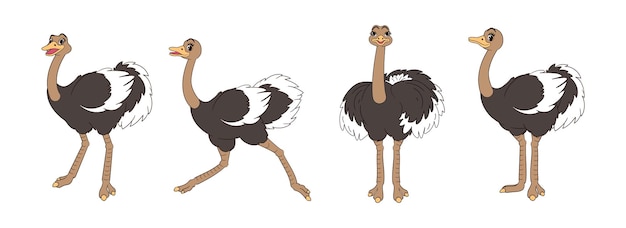 Vector long legged cute ostriches set of figures standing running and screaming vector illustration