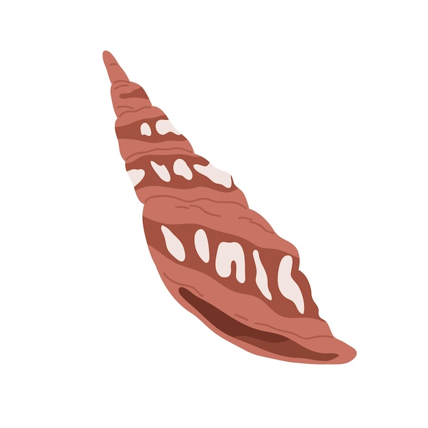 Long sea shell, mollusk of horn shape. Marine underwater seashell. Undersea mollusc. Ocean shellfish. Aquatic nautical oblong clam with spots. Flat vector illustration isolated on white background