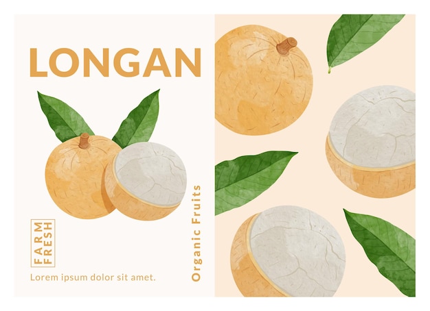 longan fruit packaging design templates watercolour style vector illustration