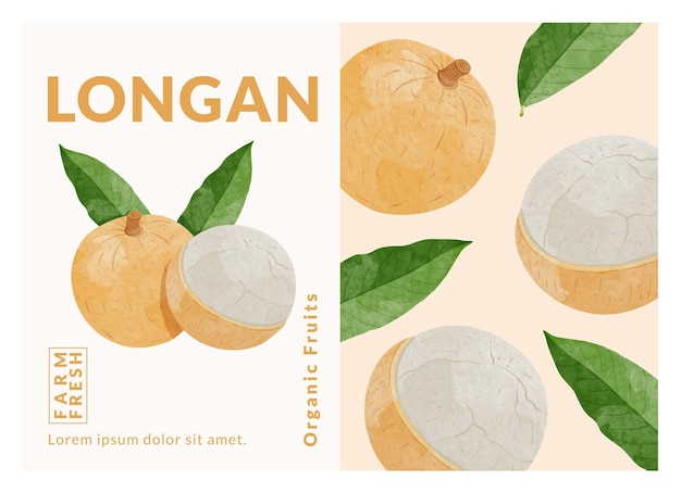 Longan 과일 포장 디자인 템플릿 수채화 스타일 벡터 일러스트 레이 션