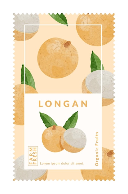 longan fruit packaging design templates watercolour style vector illustration