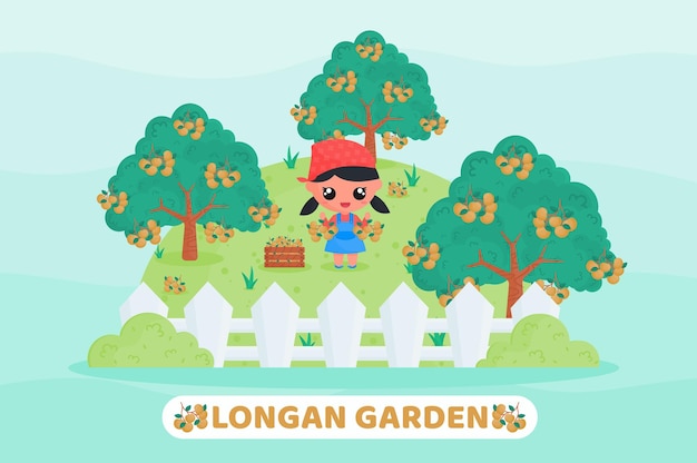 Лонган в саду с милой девушкой, собирающей урожай лонган