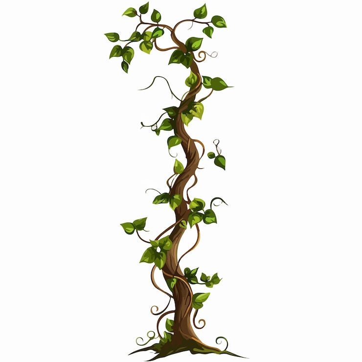 Vector longstemmed woody vine climbing and tangled among trees