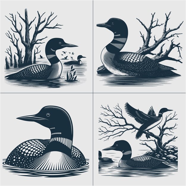 Vector loon bird vector loon silhouet duck lake scène vector bestand