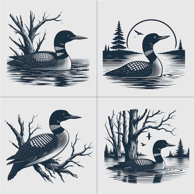 Loon bird vector loon silhouet duck lake scène vector bestand