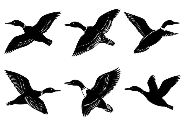 Loon silhouette set drawing duck vector icon