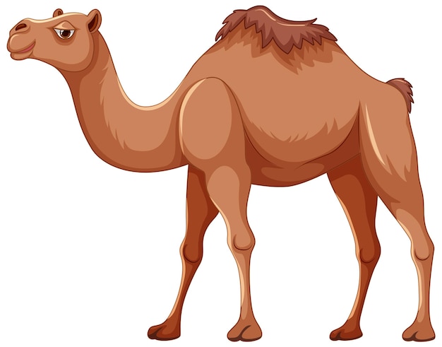 Vector lopende kameel geïsoleerd