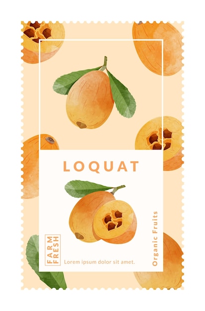 loquat fruit packaging design templates watercolour style vector illustration