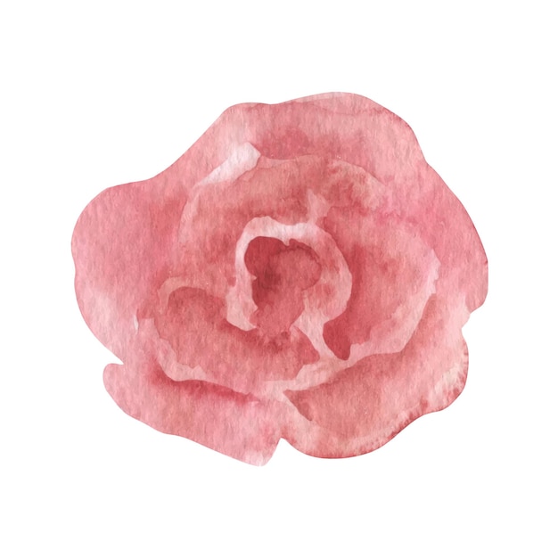 Losse aquarel rozen, boho clipart bloemen. Bloemen bruiloft illustratie