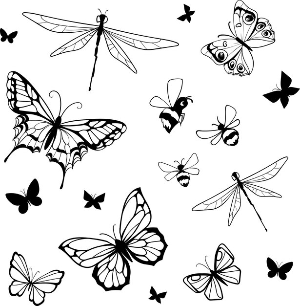 lot butterfly outline