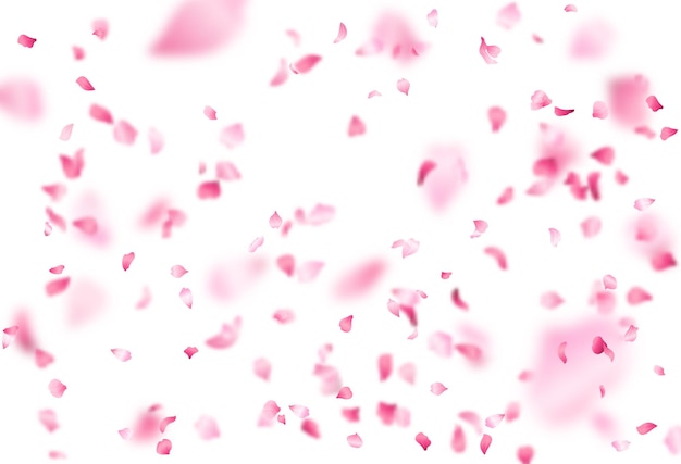 Vettore molti petali rosa su fondo bianco.