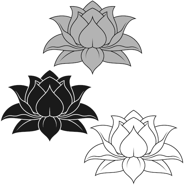 Lotus bloem vector ontwerp