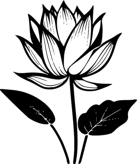 Premium Vector | Lotus Flower Black and White Vector illustration