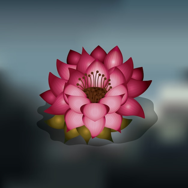 lotus flower over blur background isolated icon design