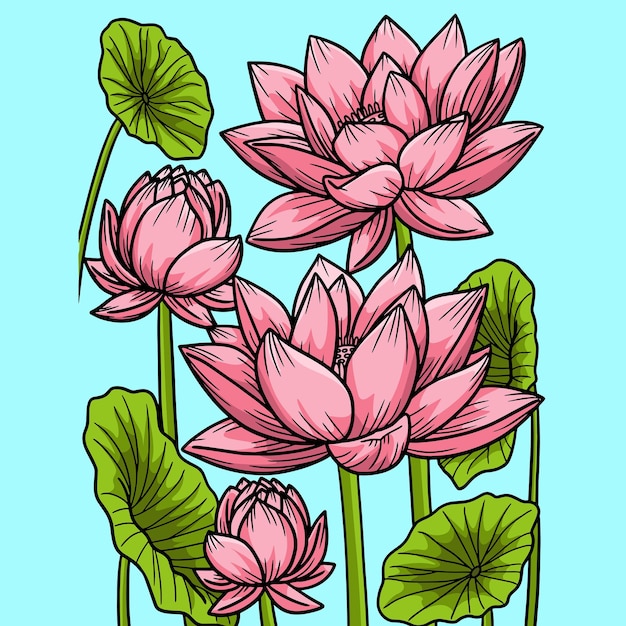 Lotus Flower Colored Cartoon Illustration