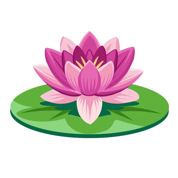 Lotus flower icon Cartoon illustration of lotus flower vector icon for web