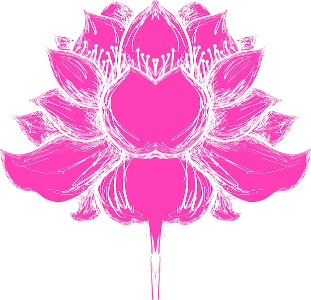 Lotus Flower Illustratie