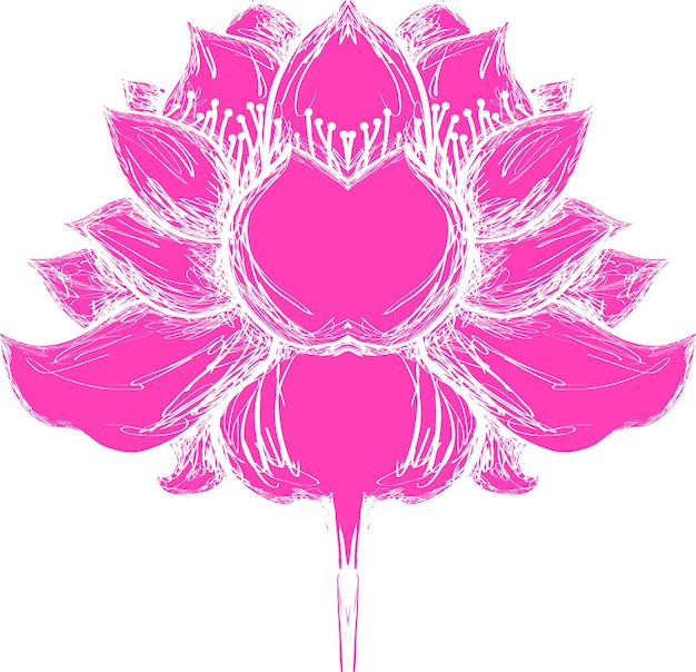 Vettore illustrazione del fiore di loto